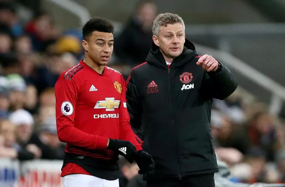 的年轻天才 的年轻天才